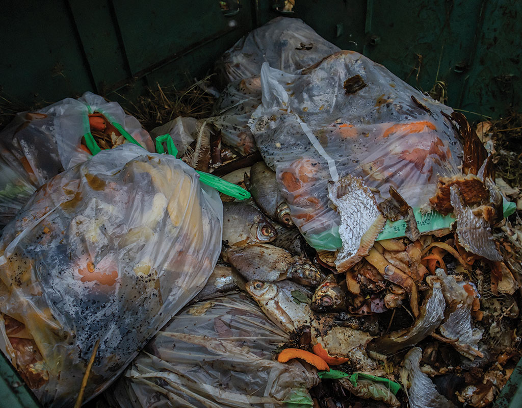 closeup of trash bags of food in a dumpster